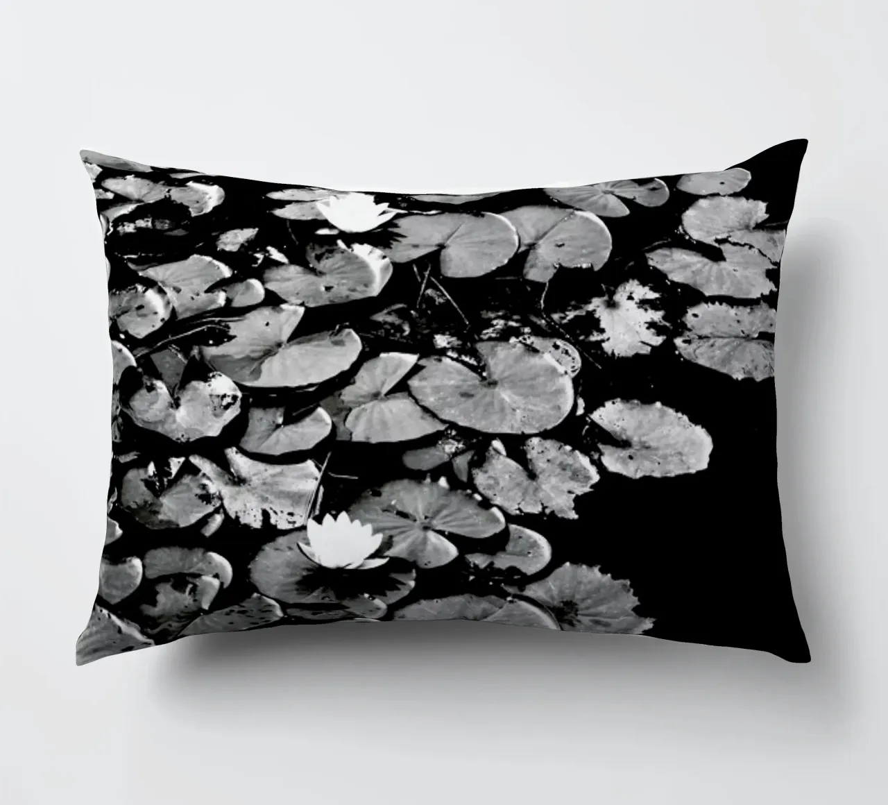 Dark Water Lily cuscino da Babett Schultze