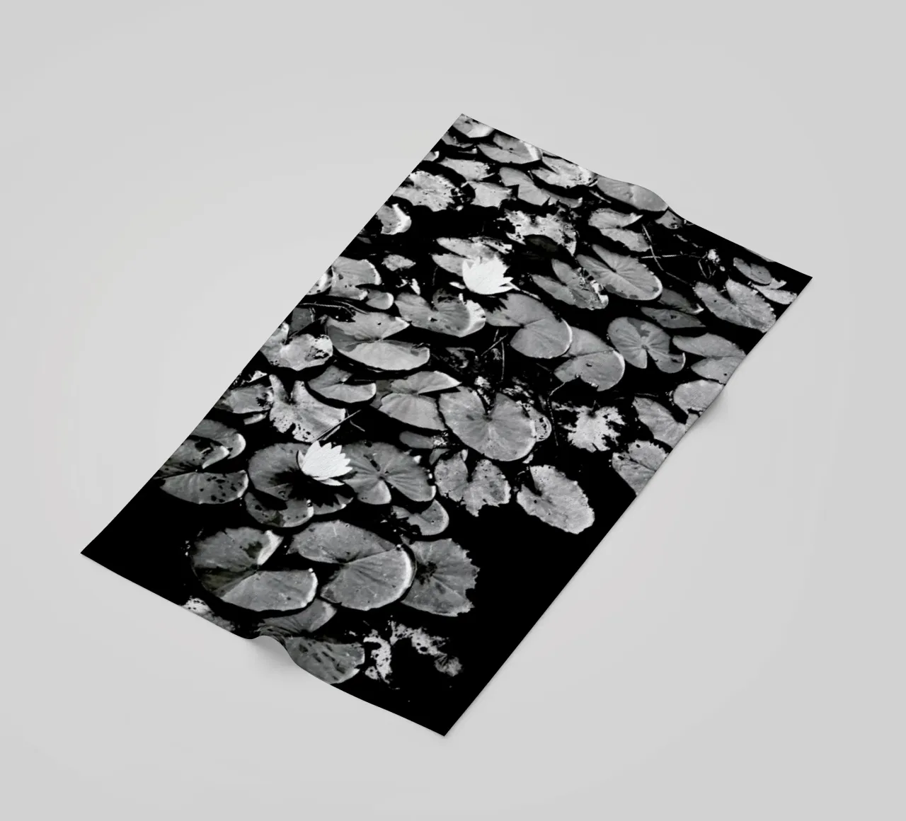 Dark Water Lily telo mare da Babett Schultze