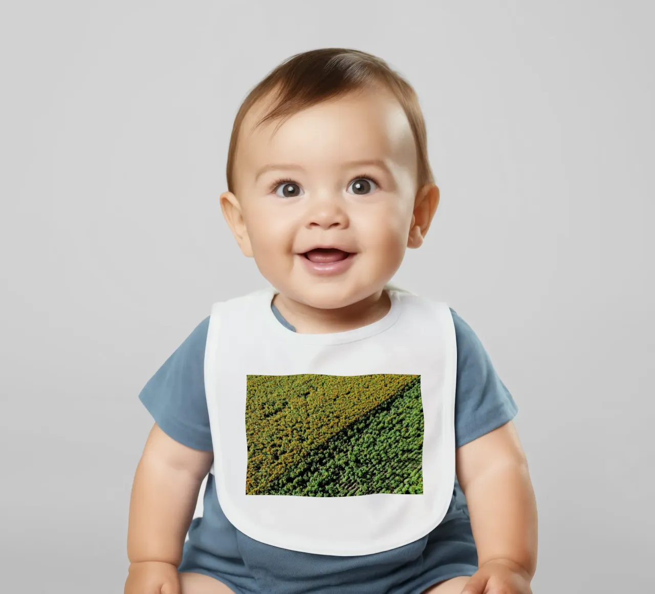 Cempasuchil bavaglino da ROBERTO H