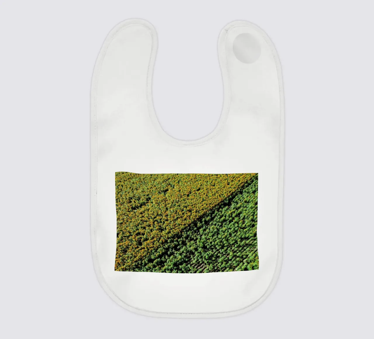 Cempasuchil bavaglino da ROBERTO H