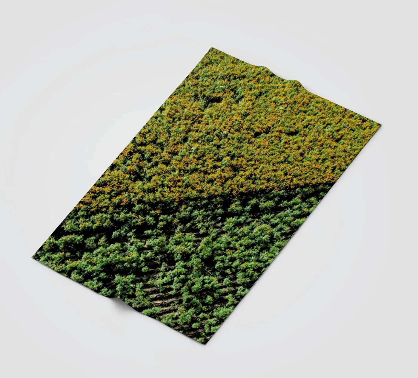 Cempasuchil Fleecedecke von ROBERTO H