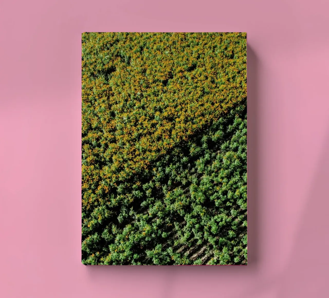 Cempasuchil notebook by ROBERTO H