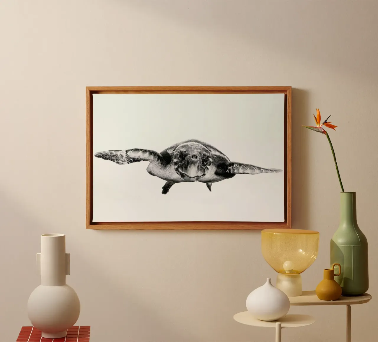 White and Turtle - Barathieu Gabriel tela da Pictufy