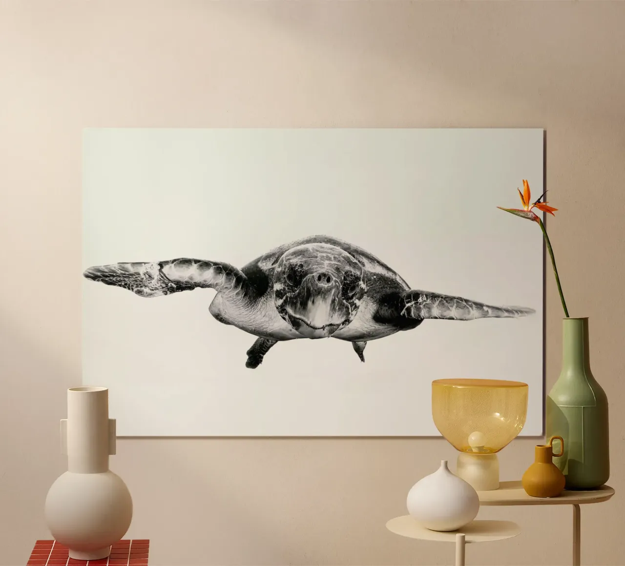 White and Turtle - Barathieu Gabriel poster con telaio in legno da Pictufy