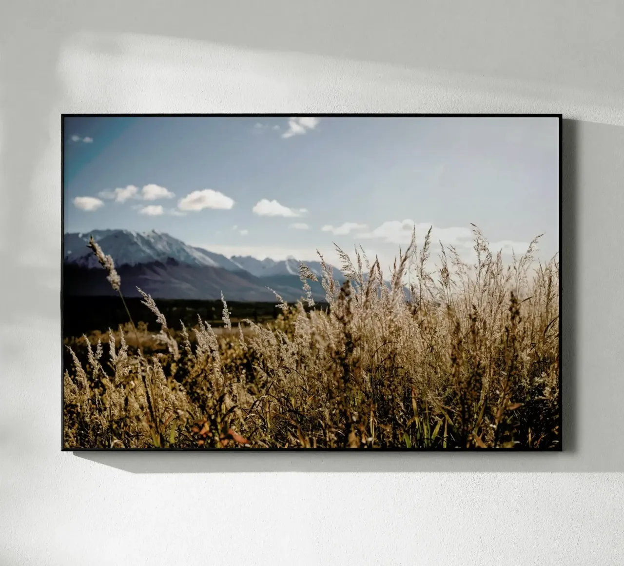 Autumn Light plexiglass da Cordula Schaefer