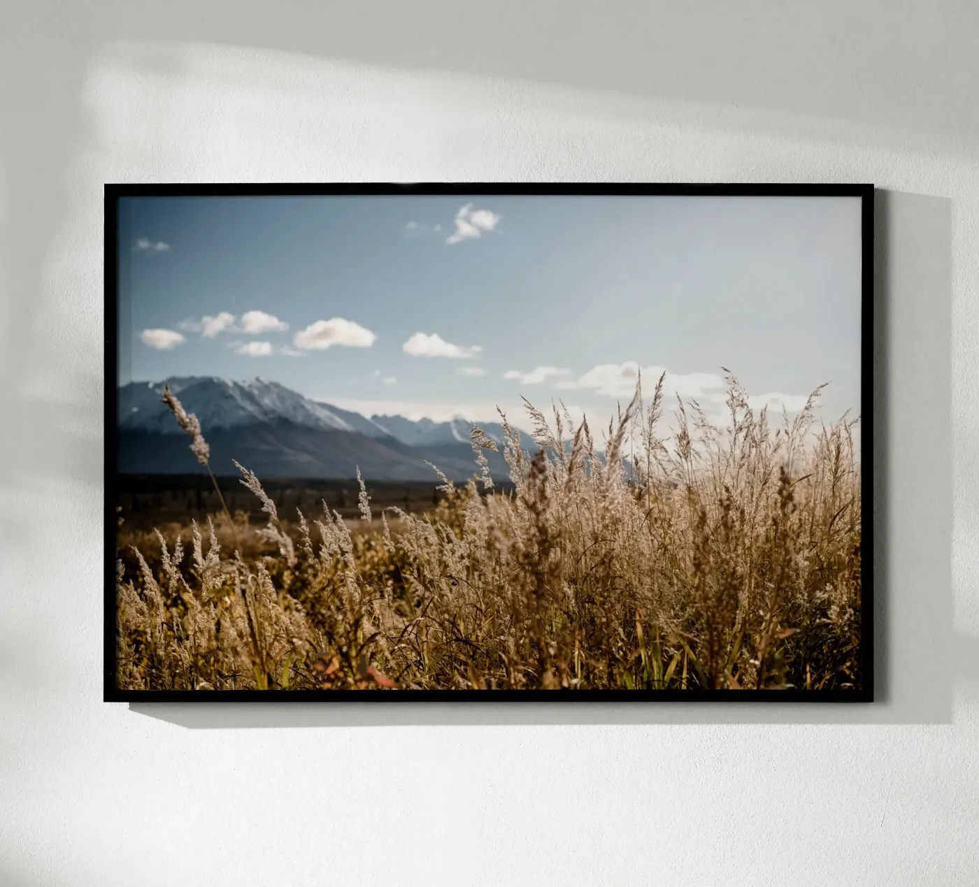 Autumn Light poster da Cordula Schaefer