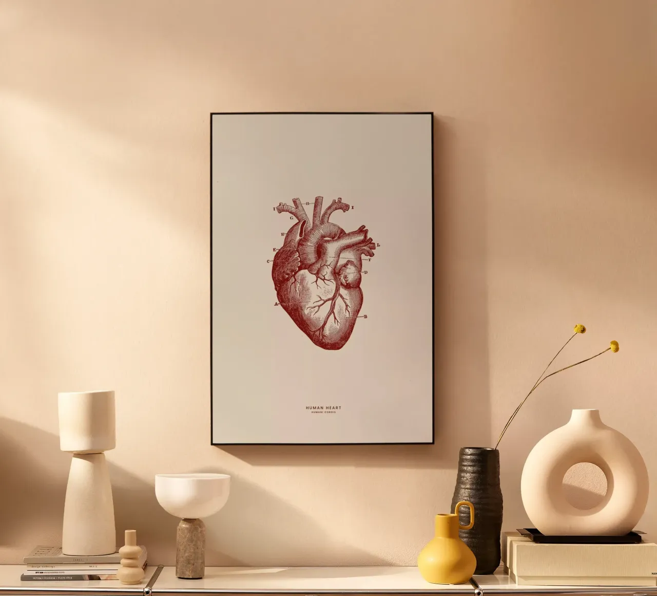 Human Heart II plexiglass da Flora & Fauna