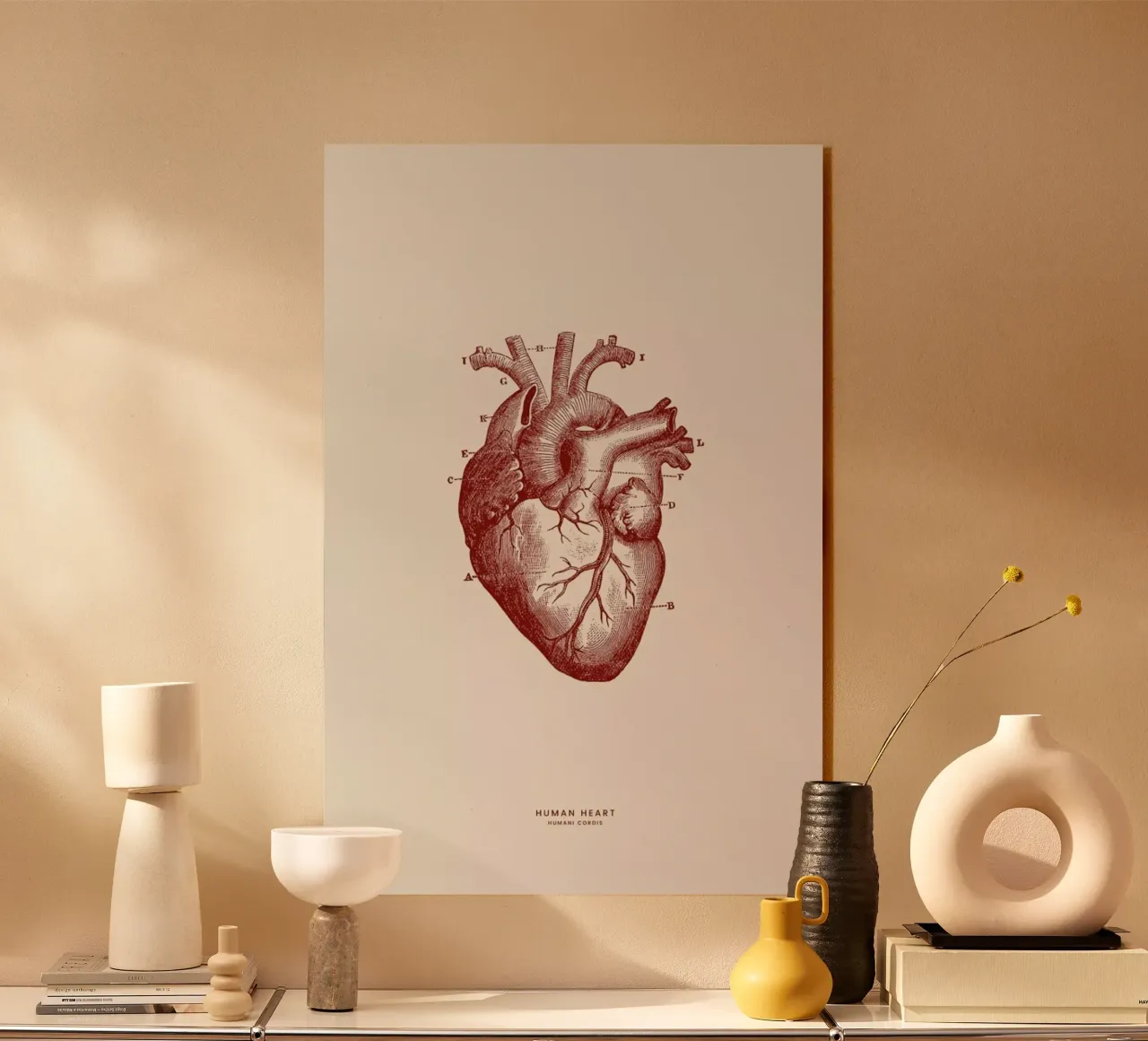 Human Heart II plexiglass da Flora & Fauna