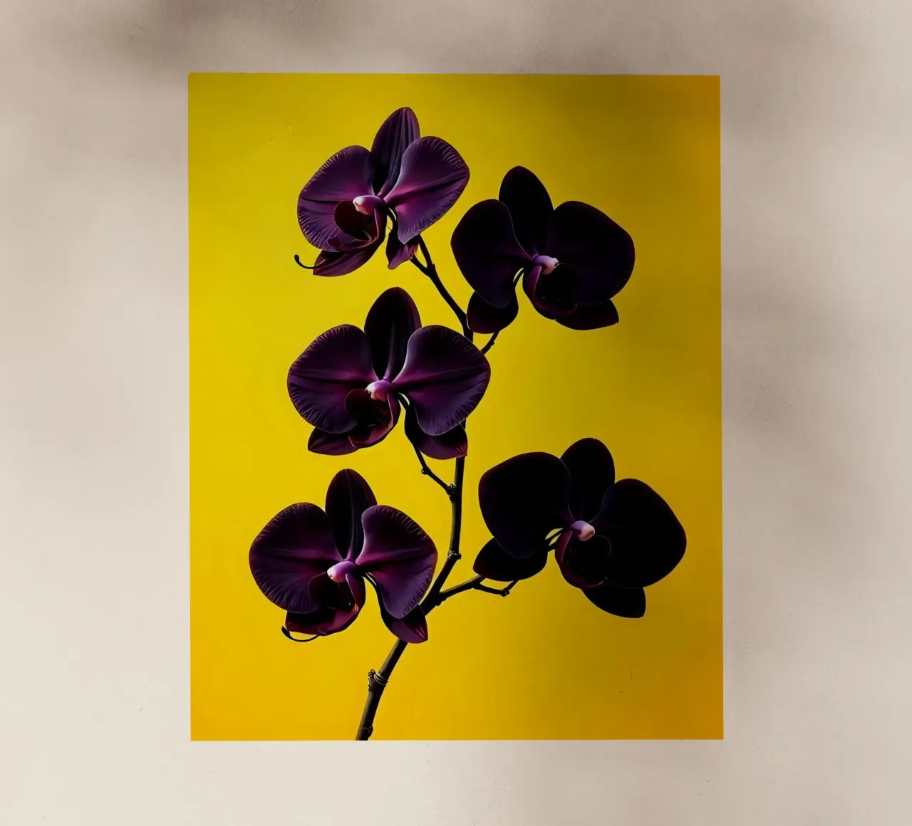 Stile_orchidea_E_2 pellicola backlit da Farb- und Blütenzauber by LK