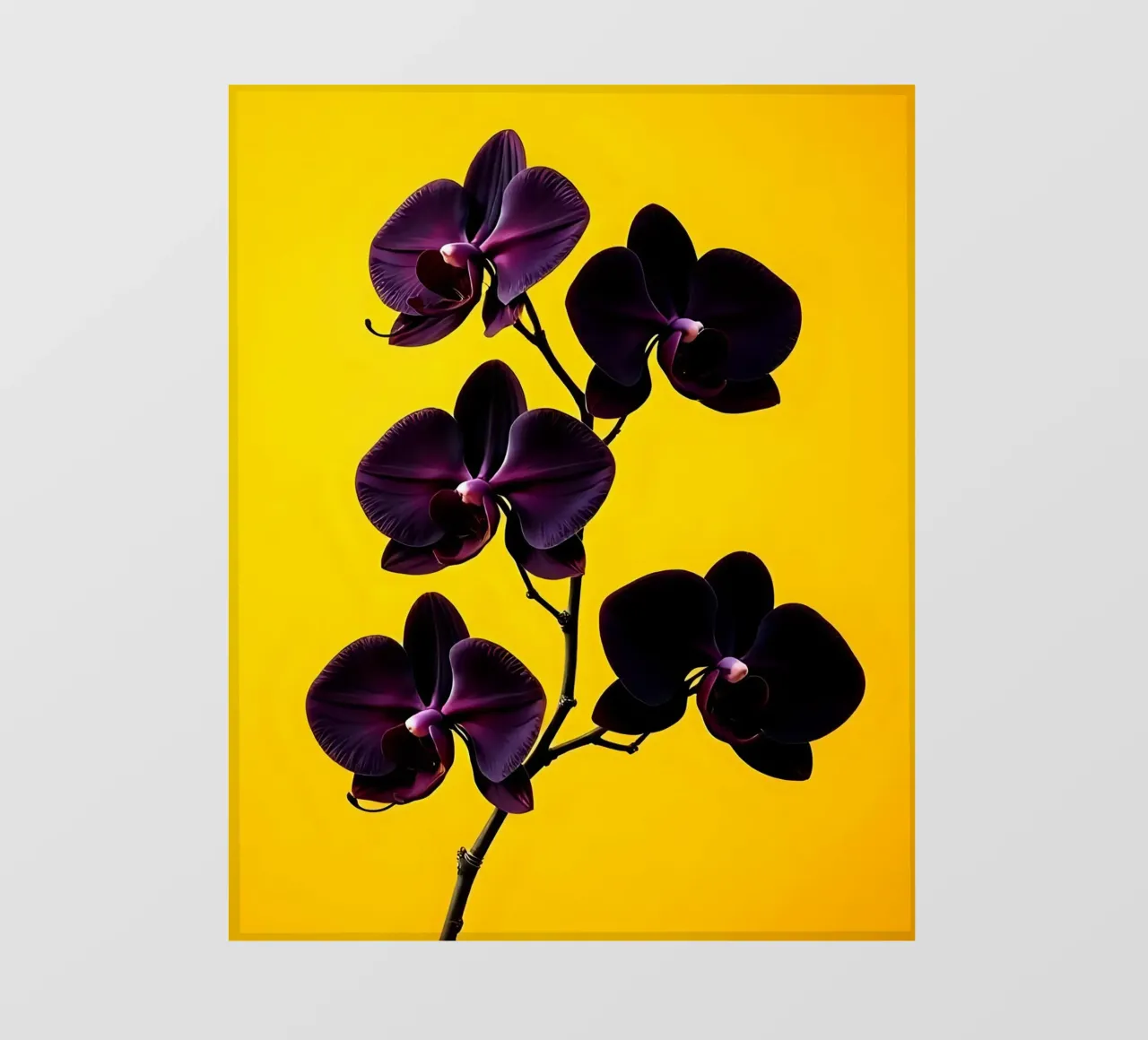 Stile_orchidea_E_2 pellicola backlit da Farb- und Blütenzauber by LK