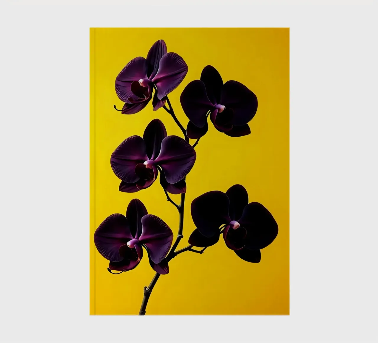 Stile_orchidea_E_2 diario da Farb- und Blütenzauber by LK