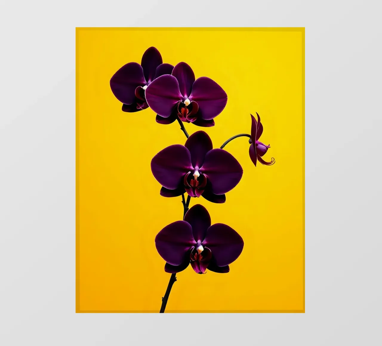 Stile_orchidea_E_3 telo in pvc da Farb- und Blütenzauber by LK
