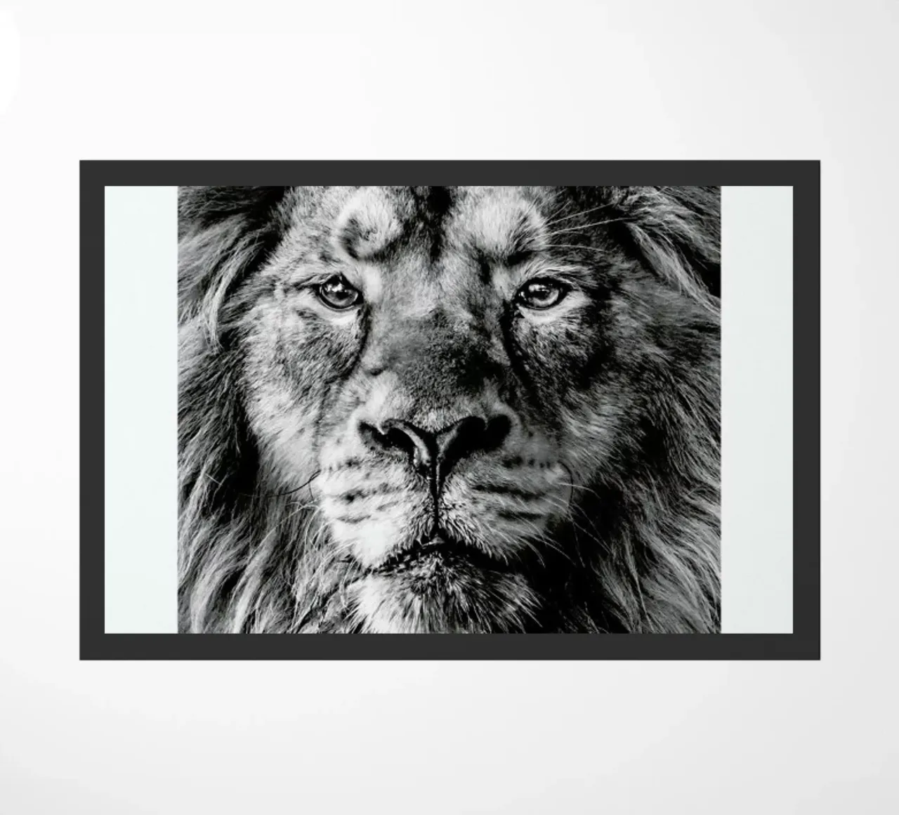 Leader of the Pack zerbino da Natural Kingdom