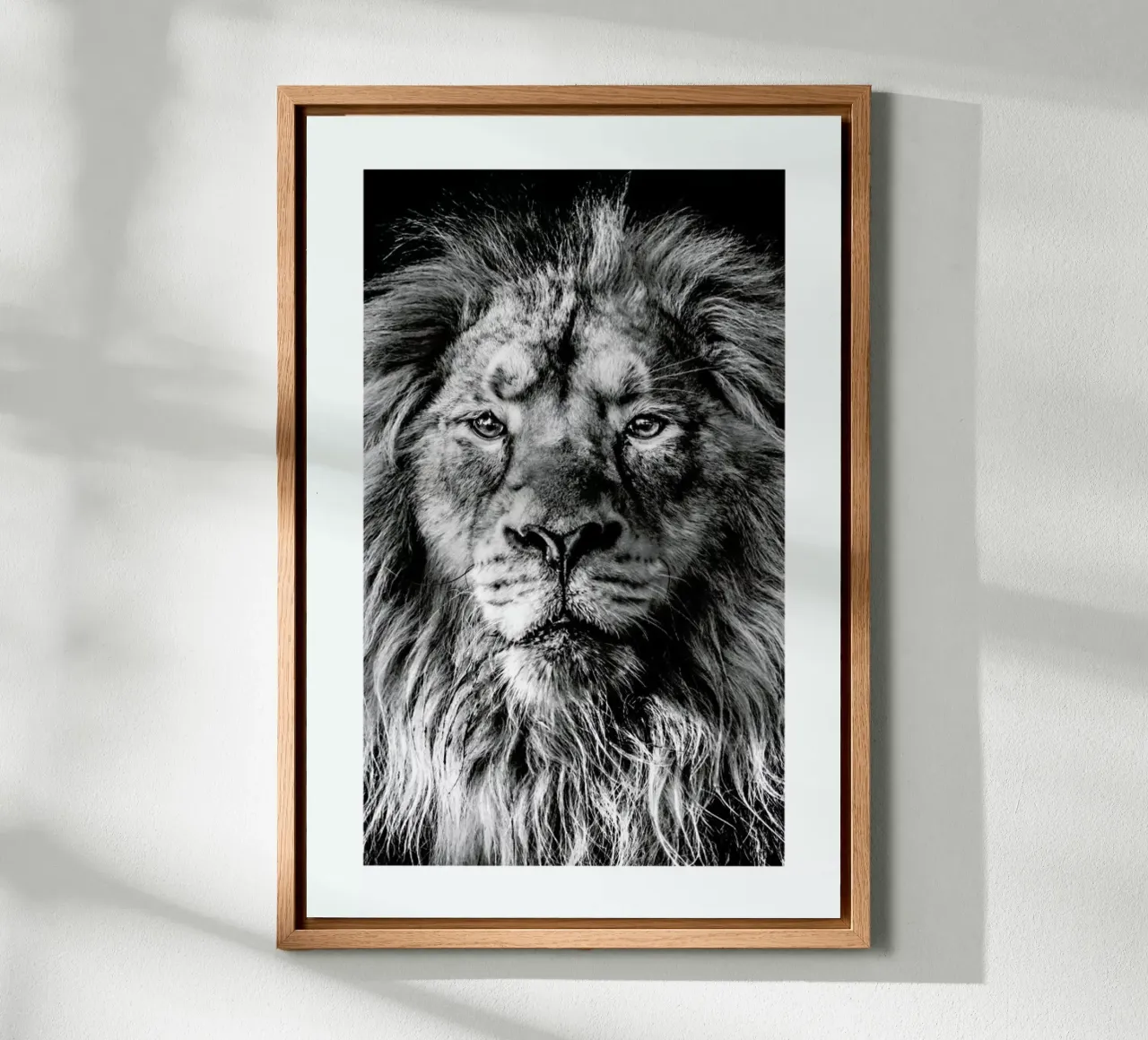 Leader of the Pack alu-dibond by Natural Kingdom