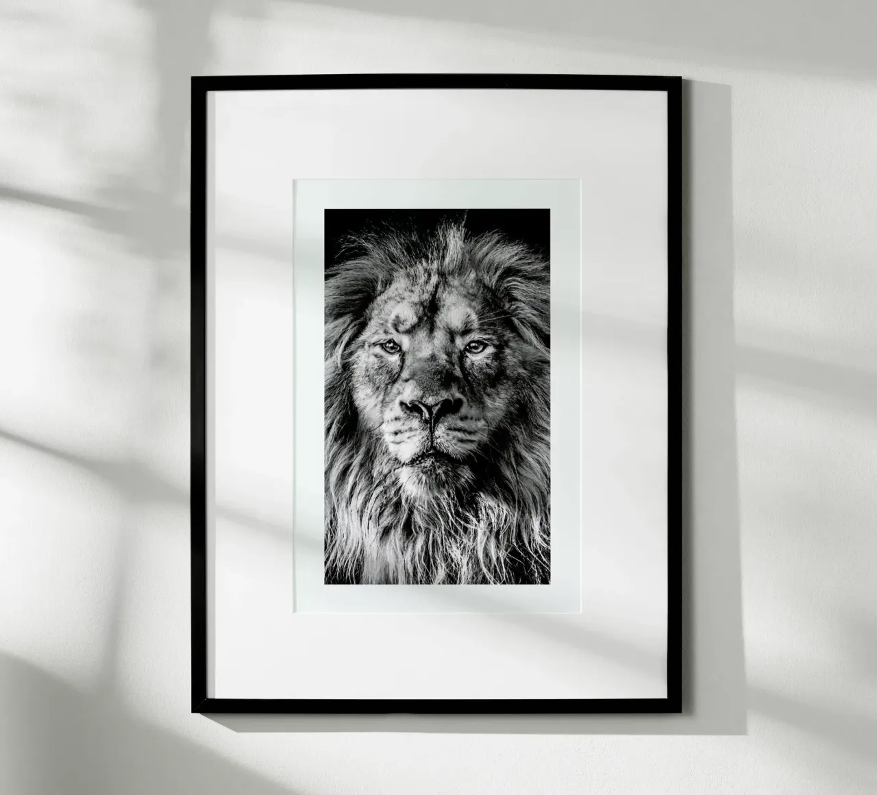 Leader of the Pack carta hahnemühle da Natural Kingdom