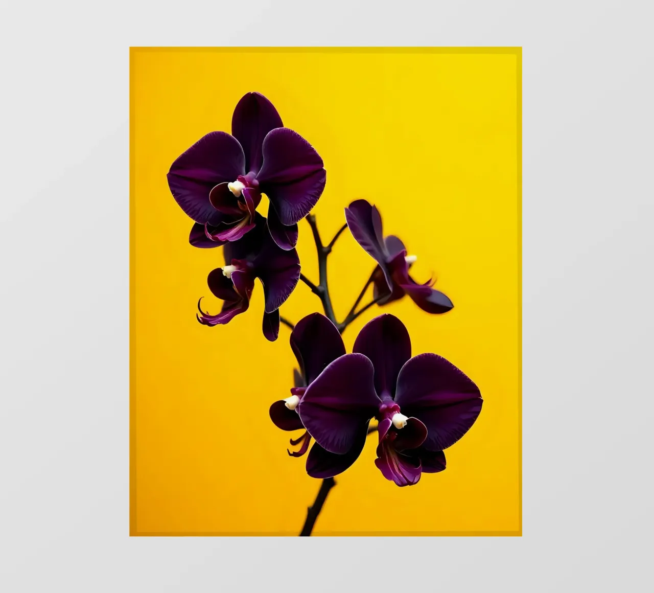 Stile_orchidea_E_4 telo in pvc da Farb- und Blütenzauber by LK