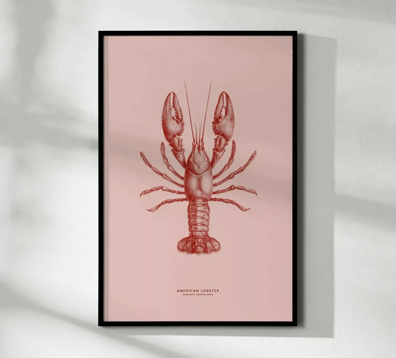 American Lobster II poster da Flora & Fauna