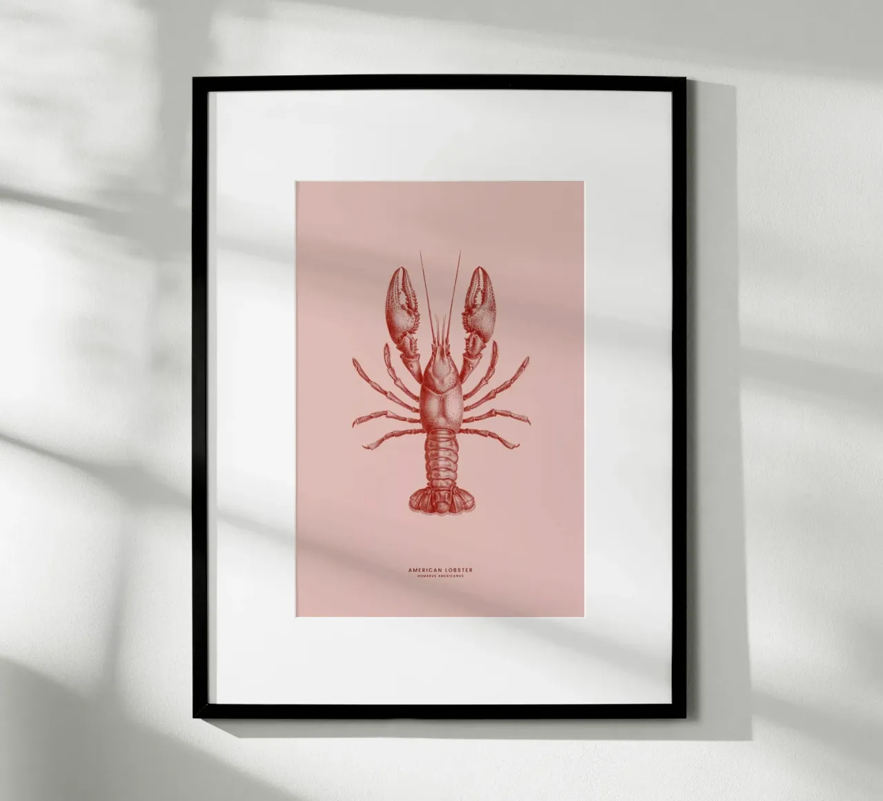 American Lobster II poster da Flora & Fauna