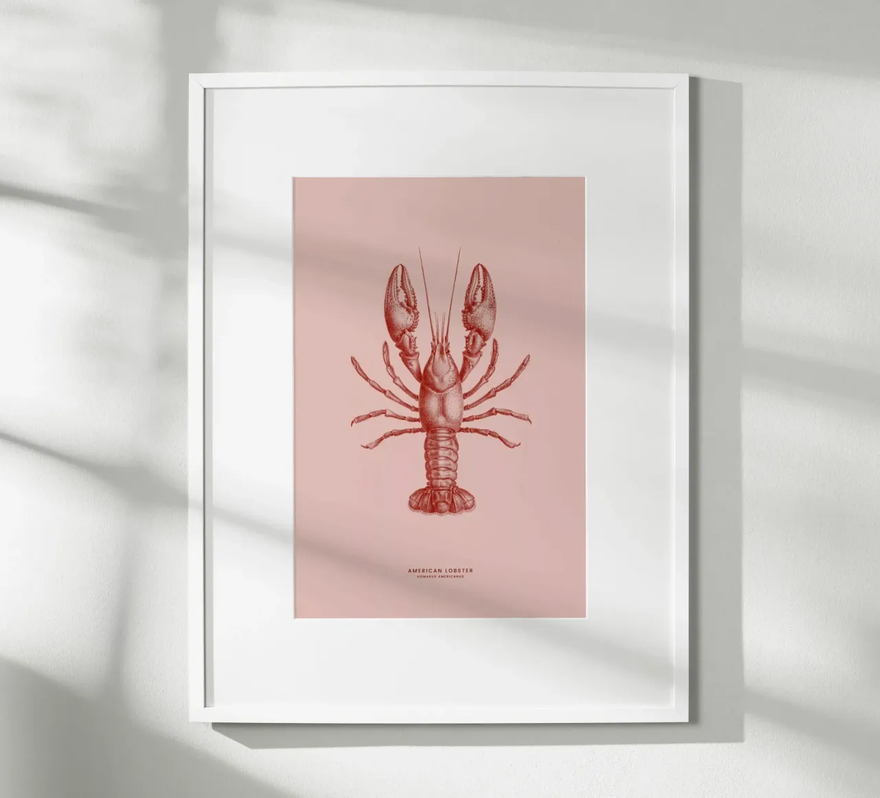 American Lobster II poster da Flora & Fauna