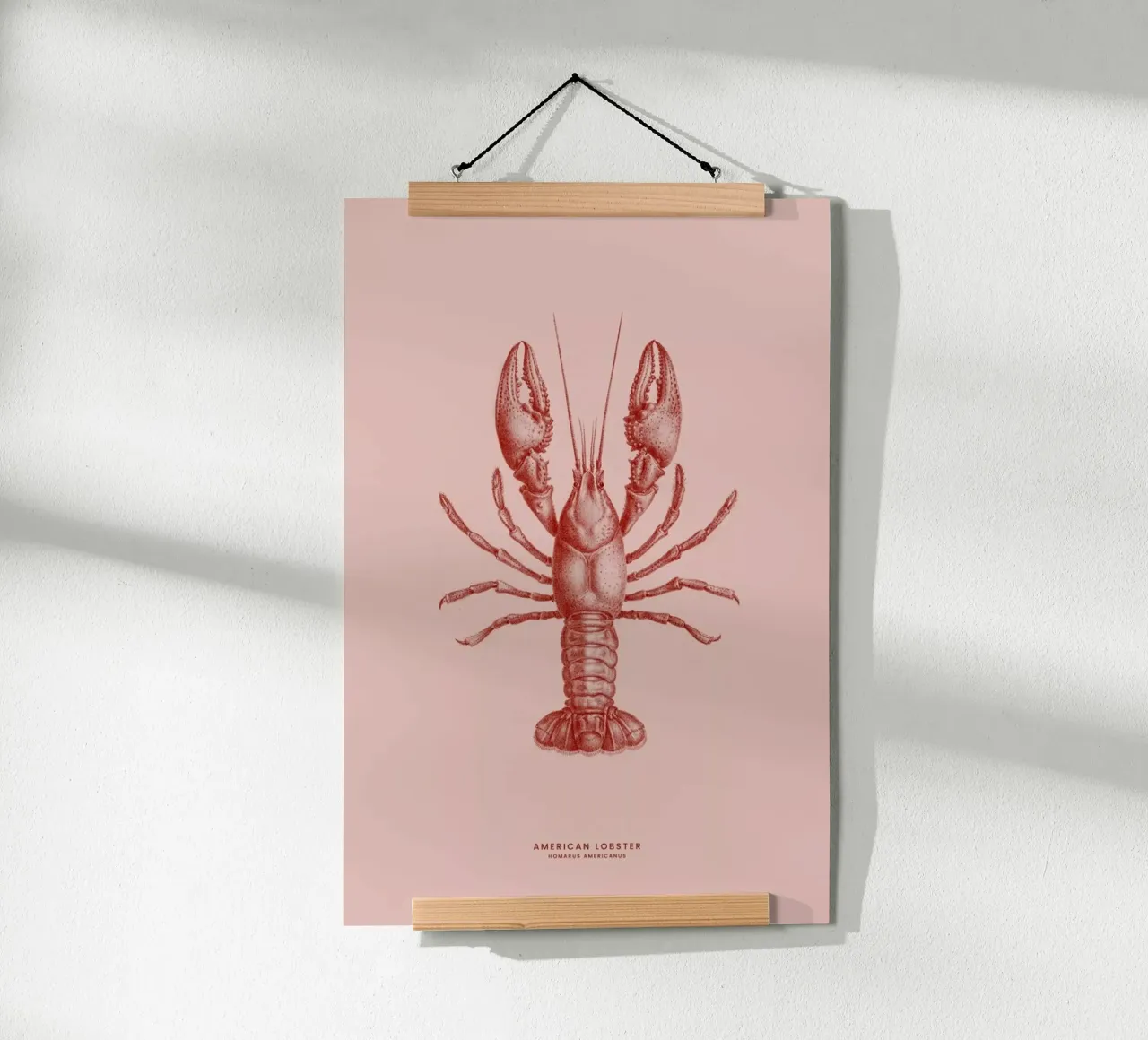 American Lobster II poster da Flora & Fauna