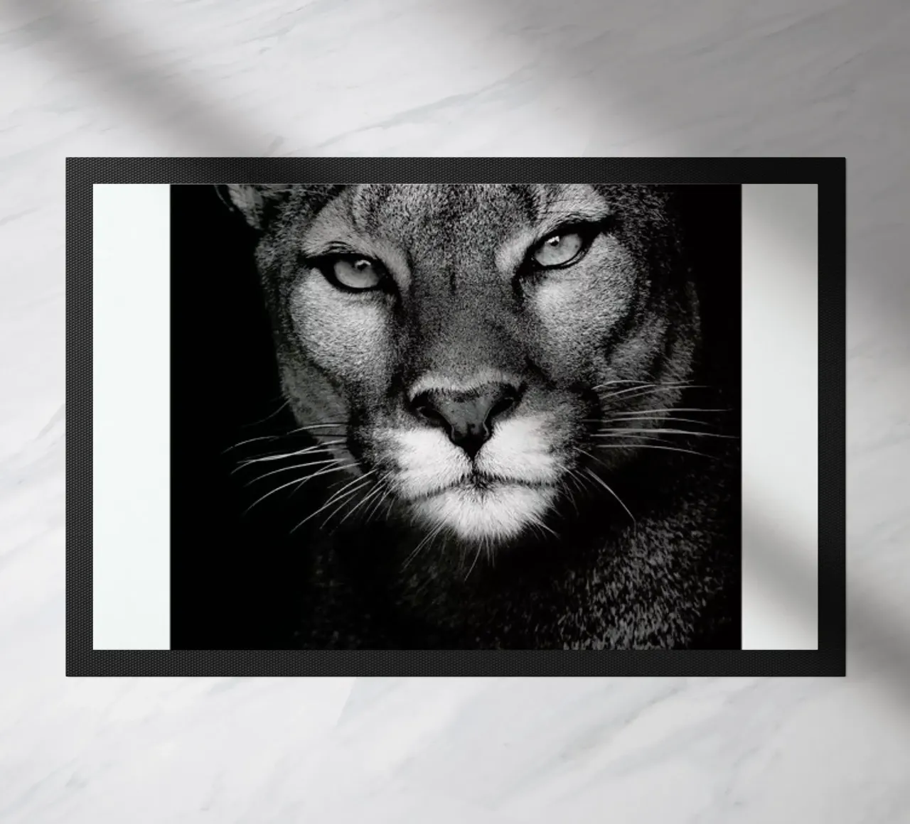 Lioness zerbino da Natural Kingdom