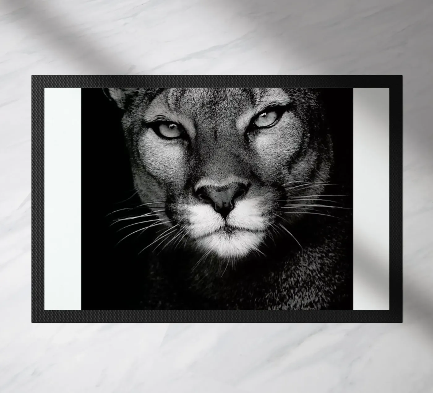 Lioness zerbino da Natural Kingdom