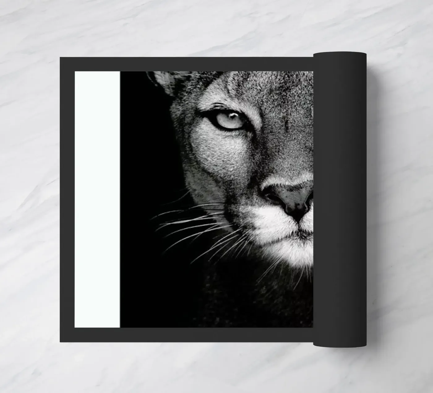 Lioness zerbino da Natural Kingdom