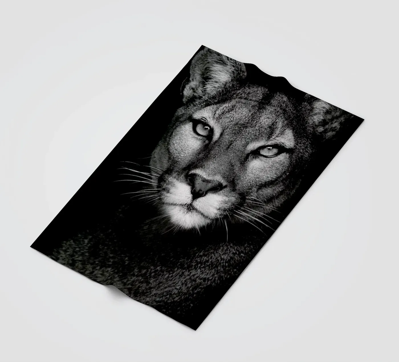 Lioness Fleecedecke von Natural Kingdom