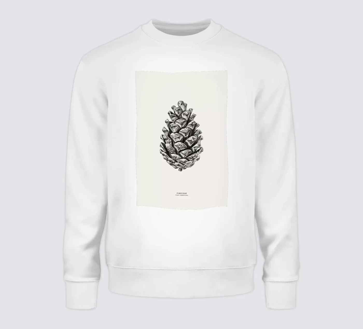 Pinecone sweat de Flora & Fauna