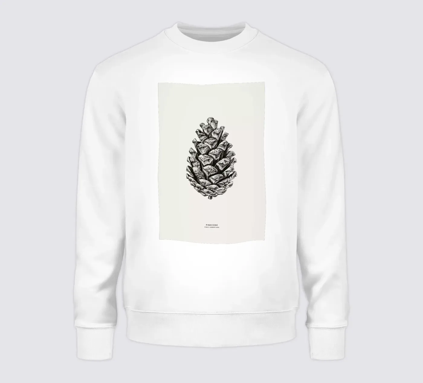 Pinecone sweat de Flora & Fauna
