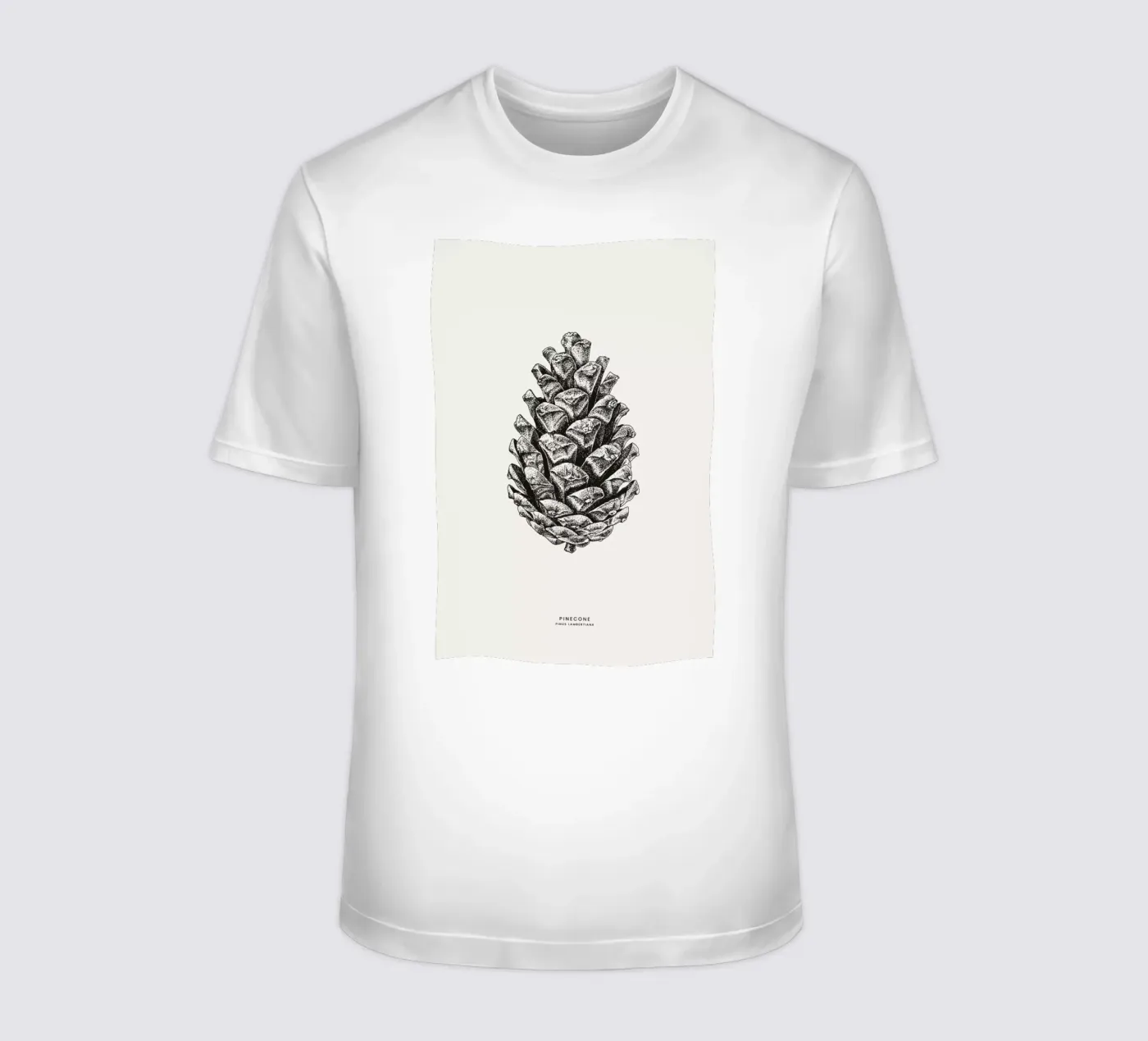 Pinecone t-shirt da Flora & Fauna