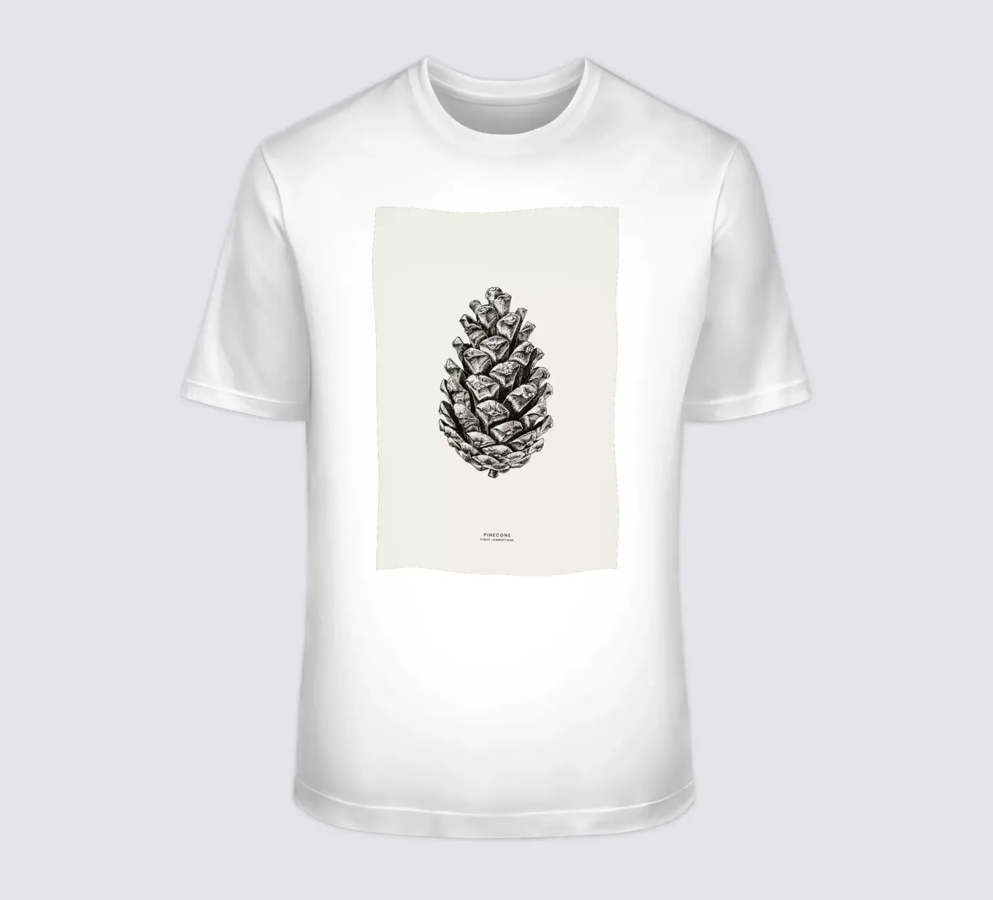 Pinecone t-shirt da Flora & Fauna
