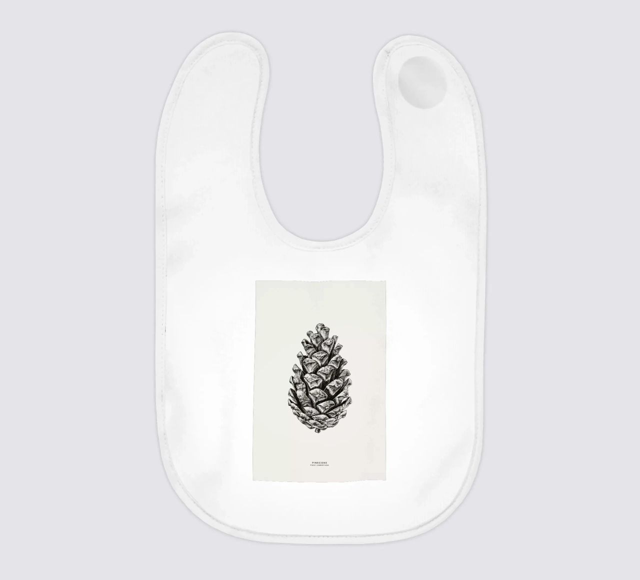 Pinecone bavaglino da Flora & Fauna