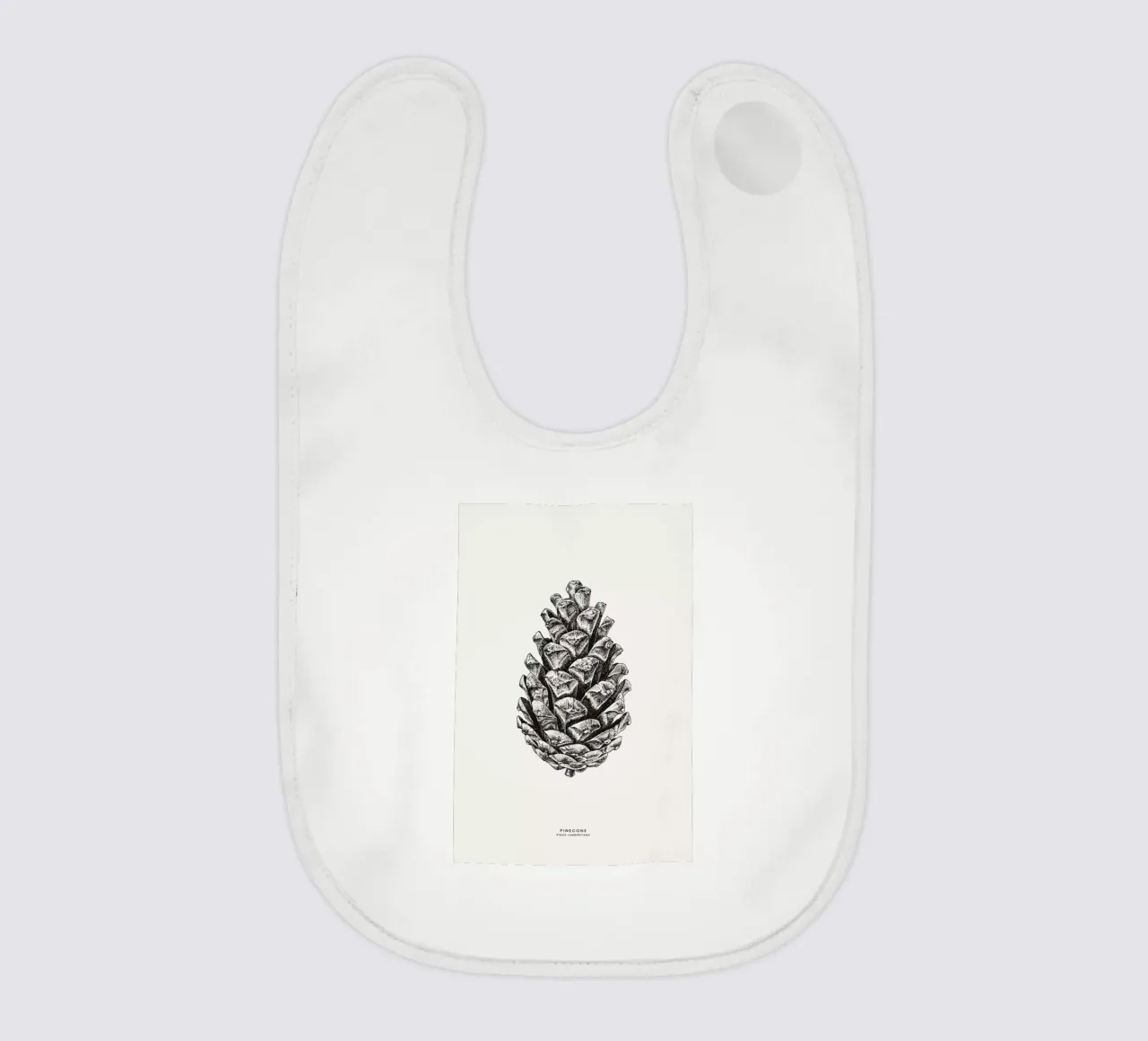 Pinecone bavaglino da Flora & Fauna