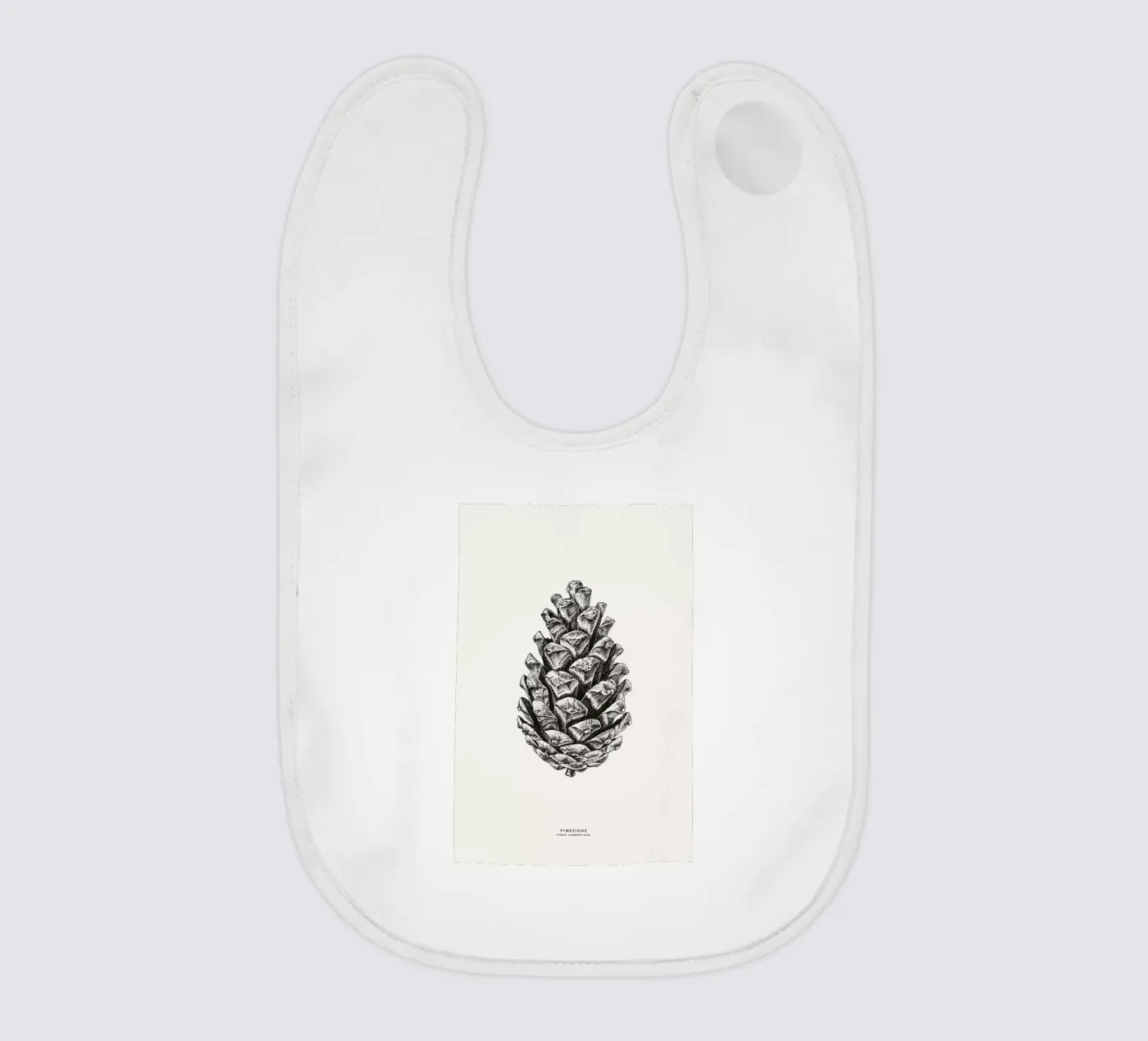 Pinecone bavaglino da Flora & Fauna