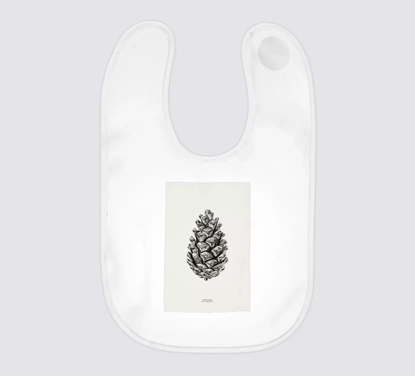 Pinecone bavaglino da Flora & Fauna