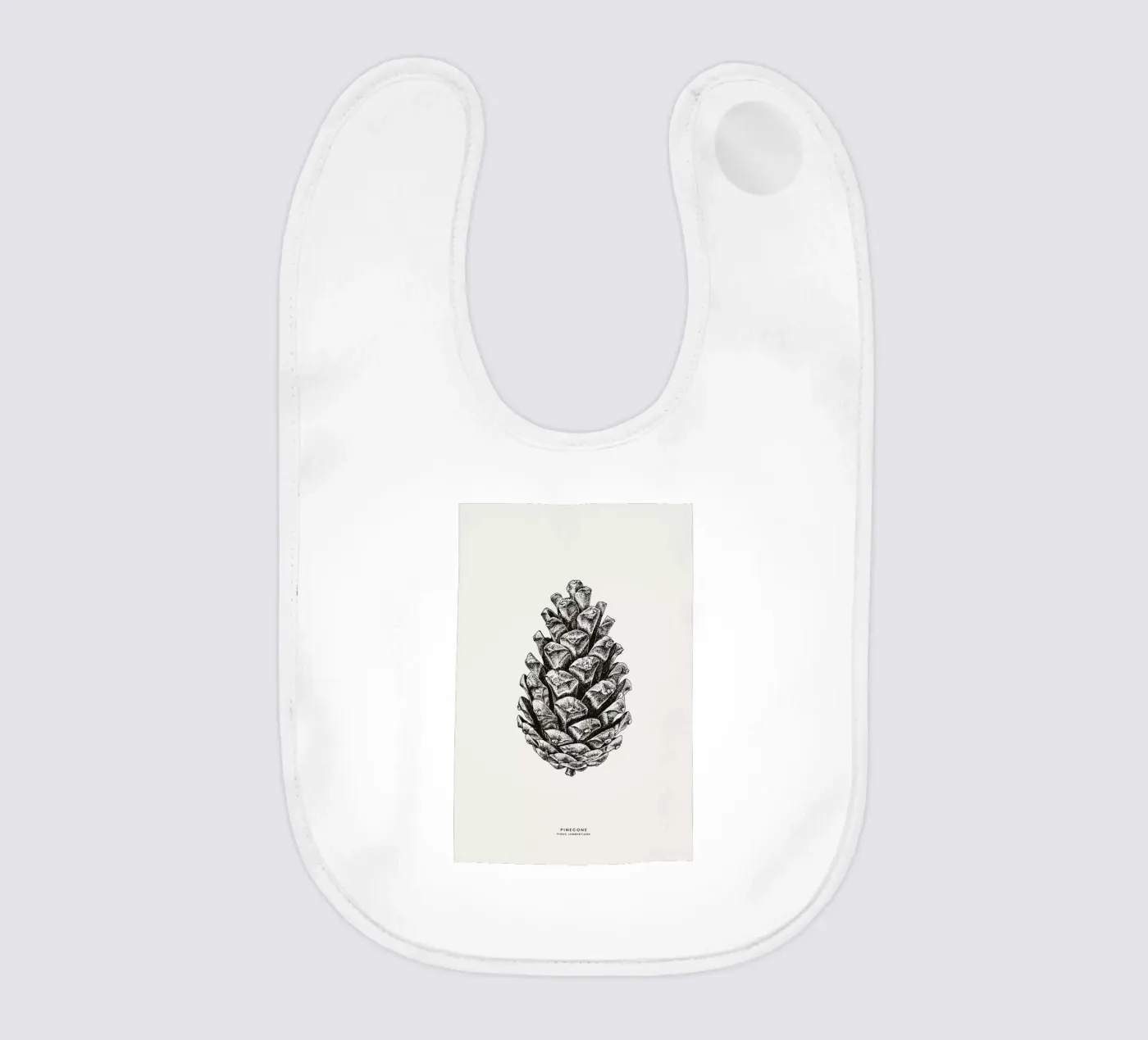 Pinecone bavaglino da Flora & Fauna