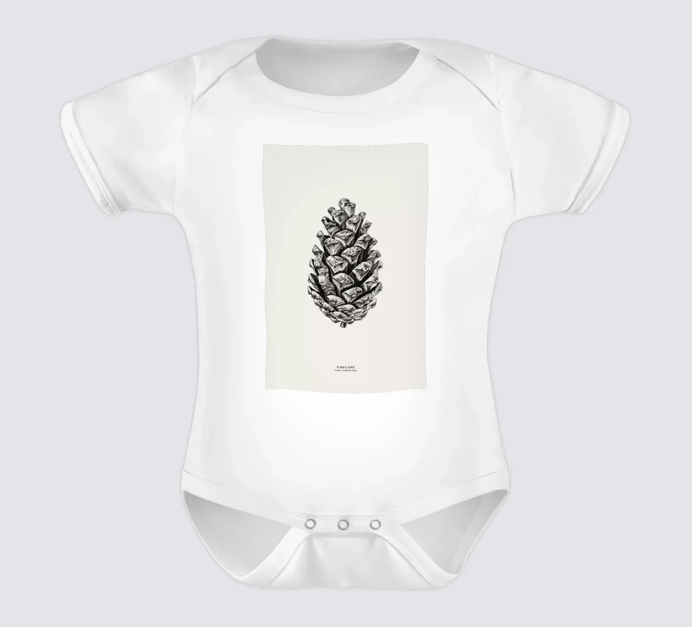Pinecone body bébé de Flora & Fauna