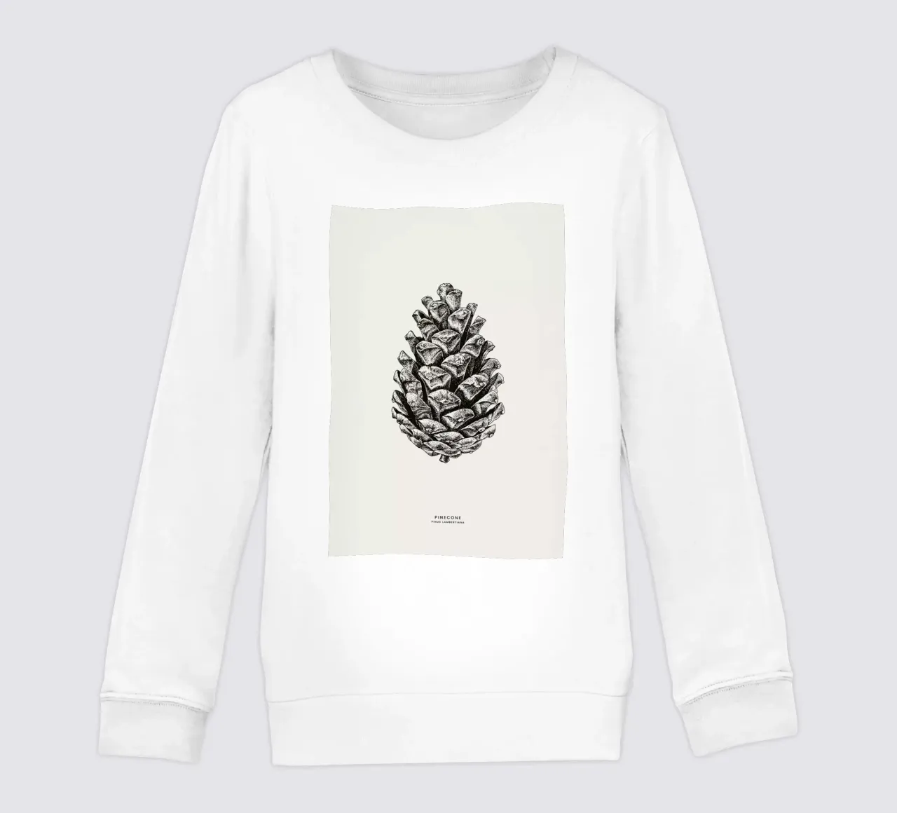Pinecone kids sweatshirt by Flora & Fauna