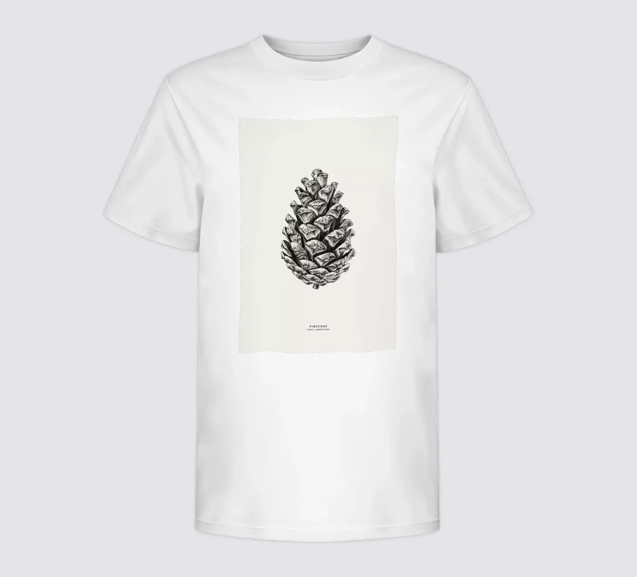 Pinecone Kinder T-Shirt von Flora & Fauna