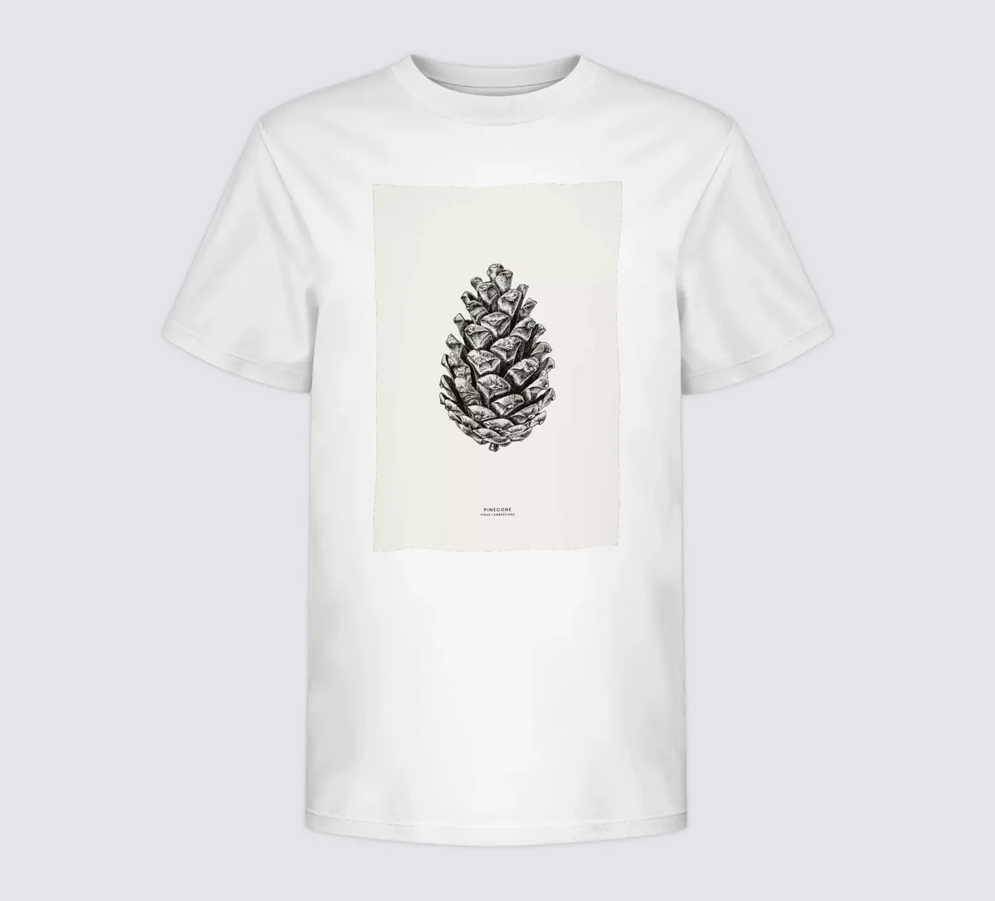 Pinecone kids t-shirt by Flora & Fauna