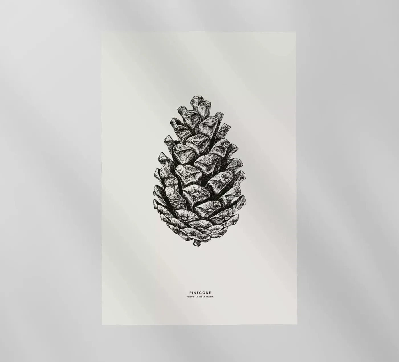 Pinecone backlit folie van Flora & Fauna