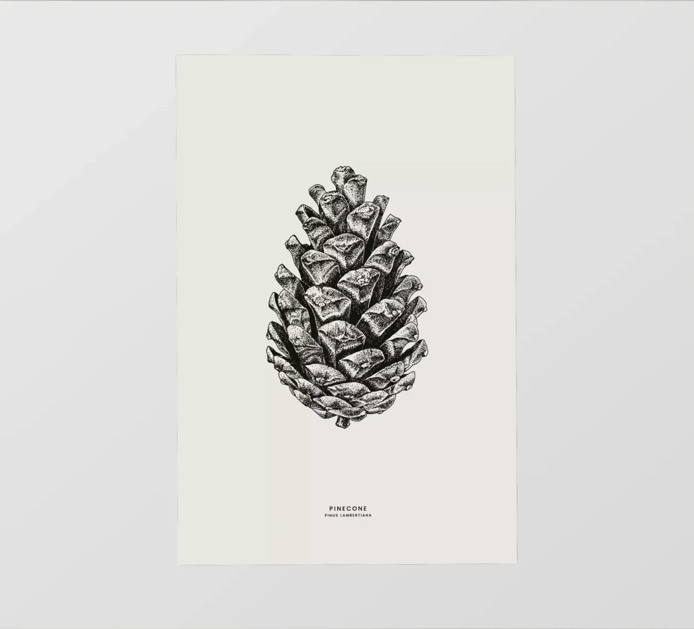 Pinecone backlit folie van Flora & Fauna