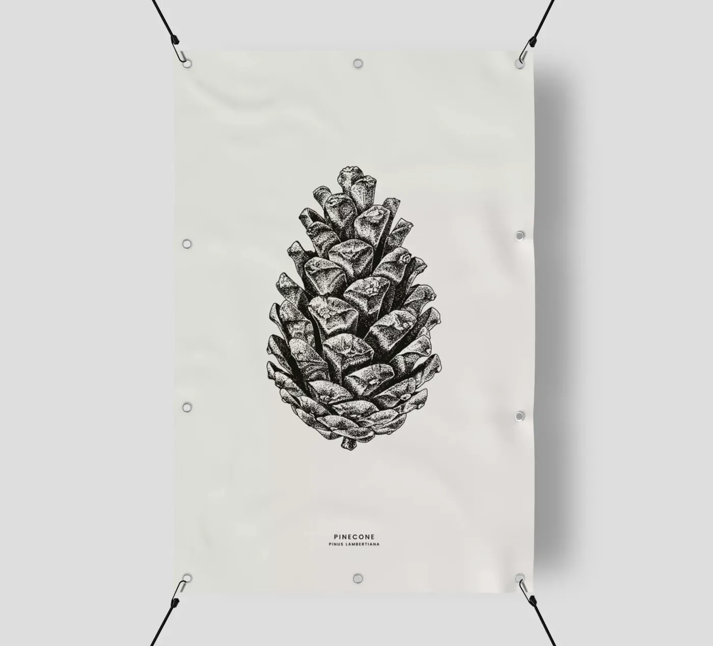 Pinecone telo in pvc da Flora & Fauna