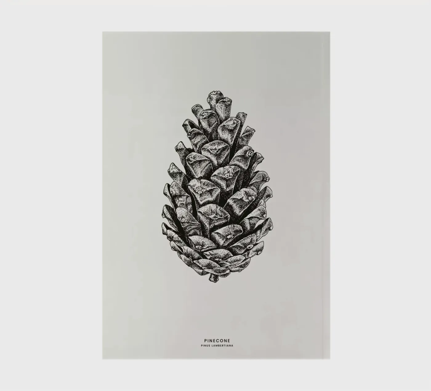 Pinecone notebook by Flora & Fauna