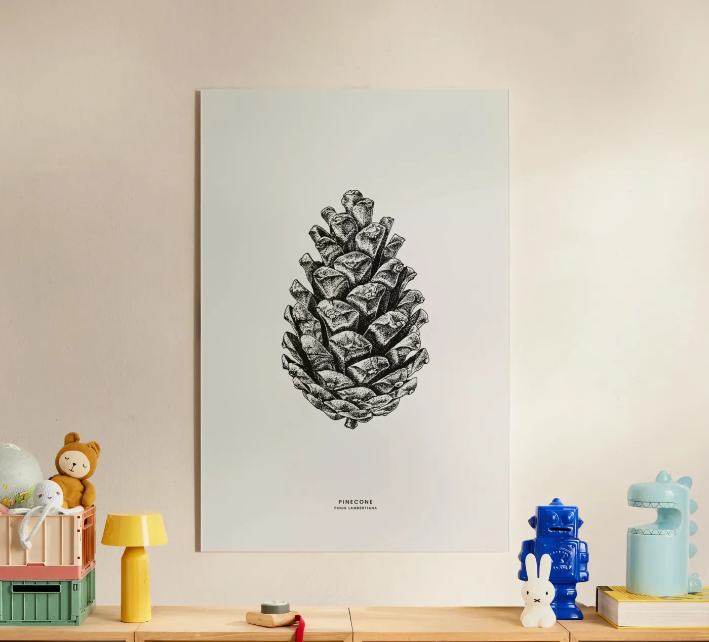 Pinecone plexiglass da Flora & Fauna