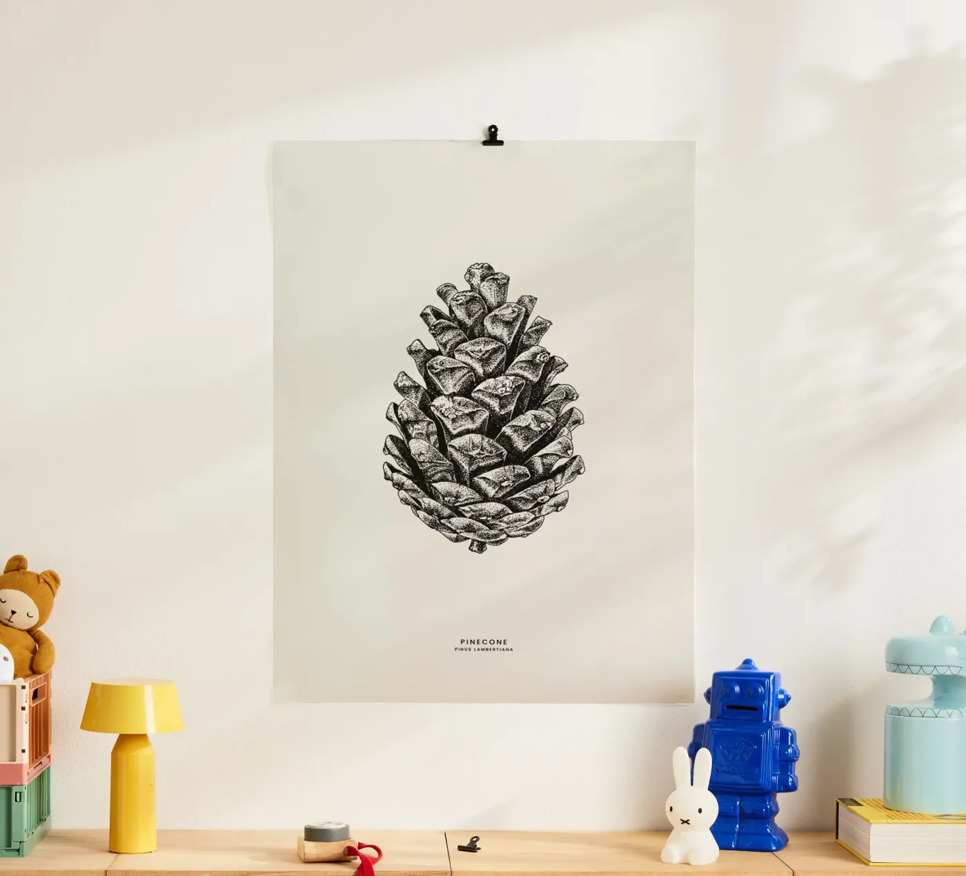 Pinecone poster da Flora & Fauna