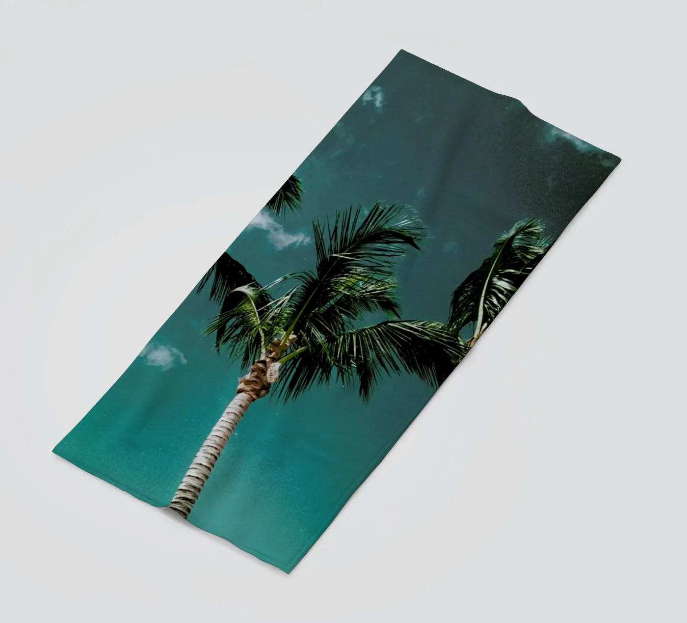 Tropical Palms telo mare da Sebastian Hilgetag