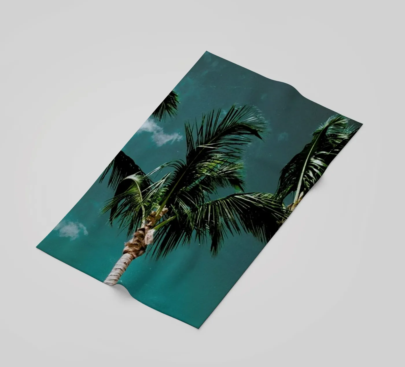 Tropical Palms telo mare da Sebastian Hilgetag