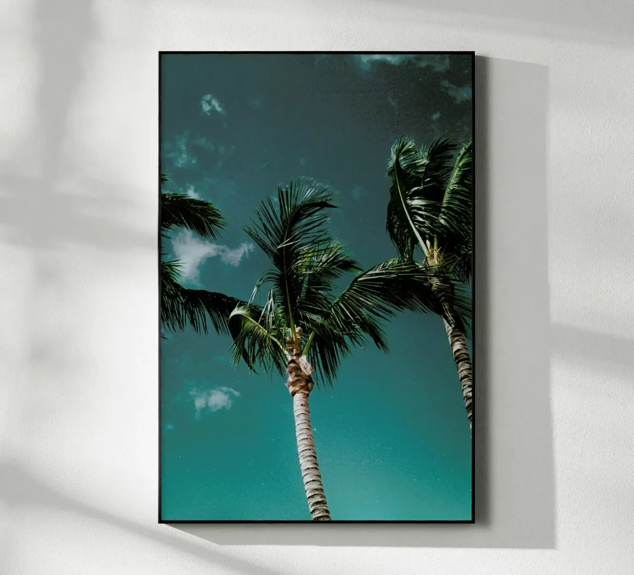 Tropical Palms plexiglass da Sebastian Hilgetag